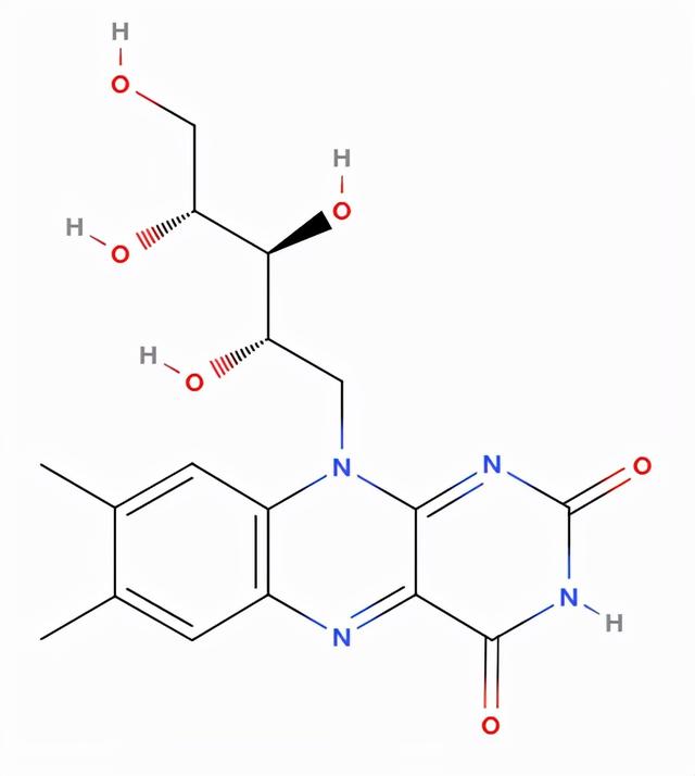 刚出生的小鸡为什么八字腿