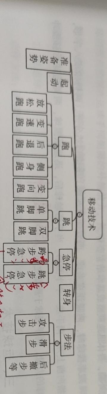 篮球拇指相对成八字