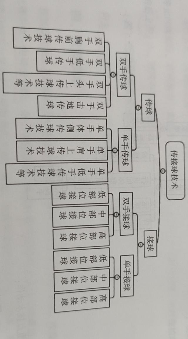 篮球拇指相对成八字