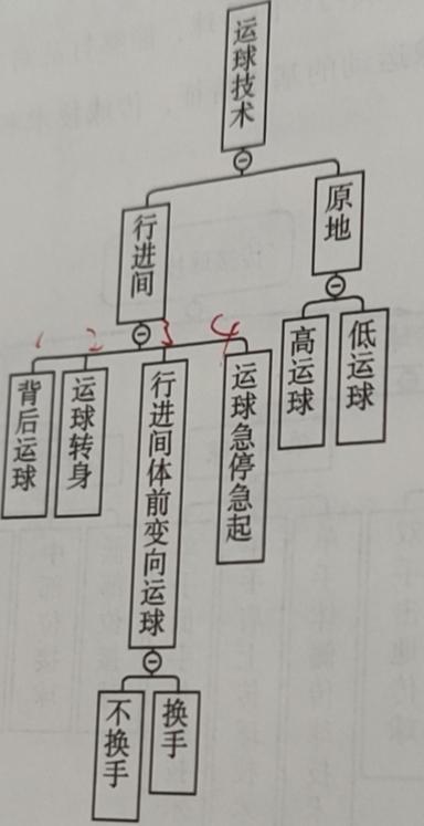 篮球拇指相对成八字