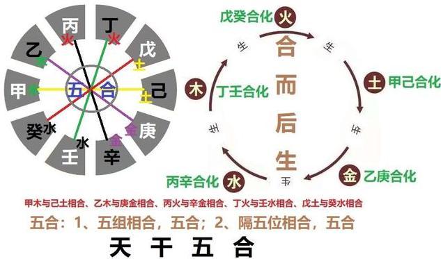 八字辰酉相合