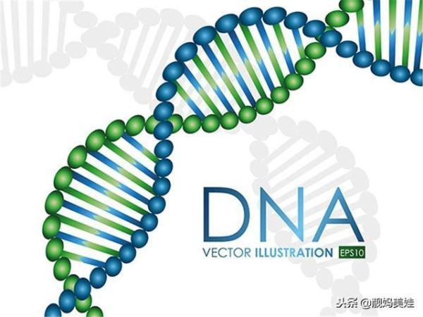 八字预测未来老公的身高准不准