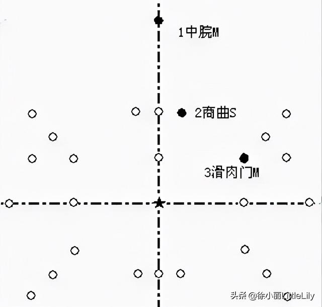 八字疗法专用针具