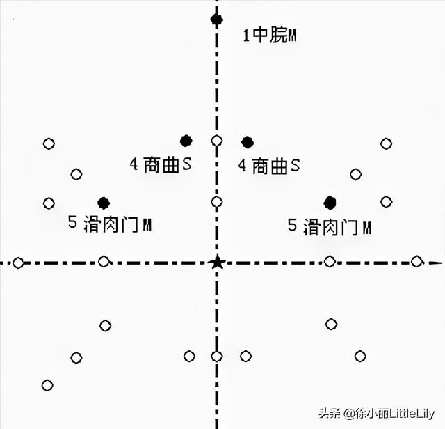 八字疗法专用针具