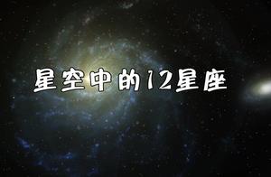 天上的星座长什么样子图片大全 十二星座在天上长什么样子