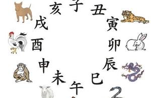 laq星座图纸 中国古代农业与十二生肖的关系