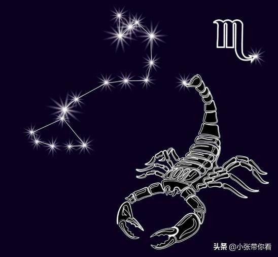 花心不是看星座