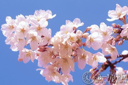 生日11月26日什么星座是什么歌