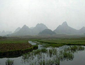 阴宅风水坐向图