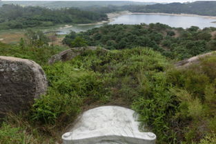 怎样保护真龙真穴墓地风水