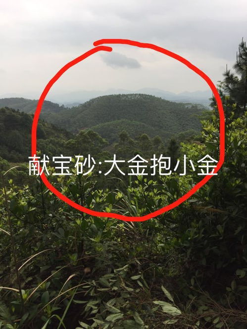 什么风水山发横财