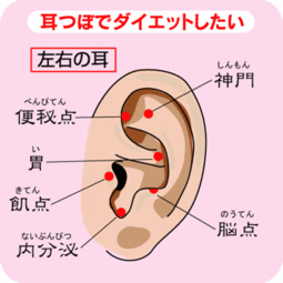 作穴耳朵上风水大地出大官