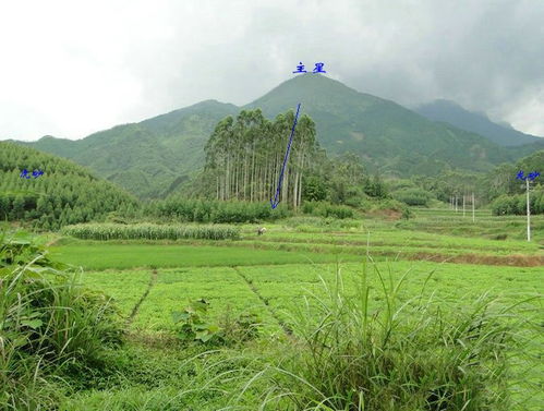 风水宝地蜘蛛地葬什么穴