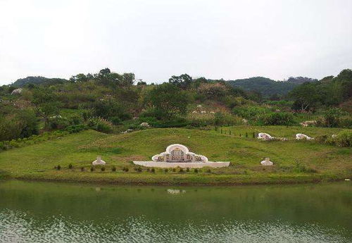 江西地理风水铁板树