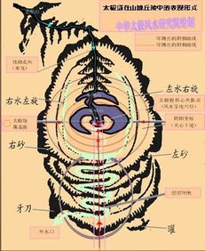 坟墓风水太极晕图