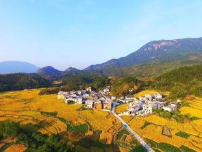 封开县杏花村象风水