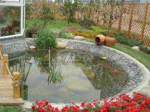 庭院鱼池摆石雕的风水