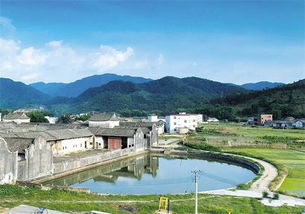 屋后有人造鱼池风水