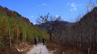 虎口山风水