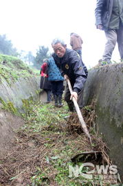 共乐镇东风水库