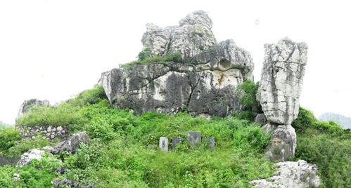 潮阳墓地风水案例