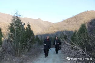 风水大师夏荆山