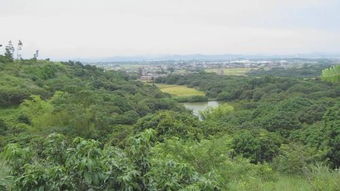 坟地风水左有个峰