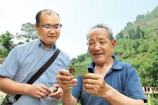 桐梓县风水木艾村