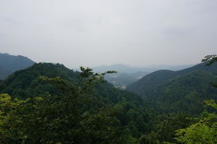 坟山的风水宝地