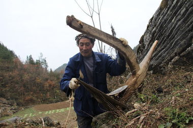 犁头铁在风水中的作用