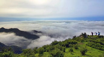 云浮大金山风水