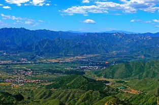 茶叶山风水