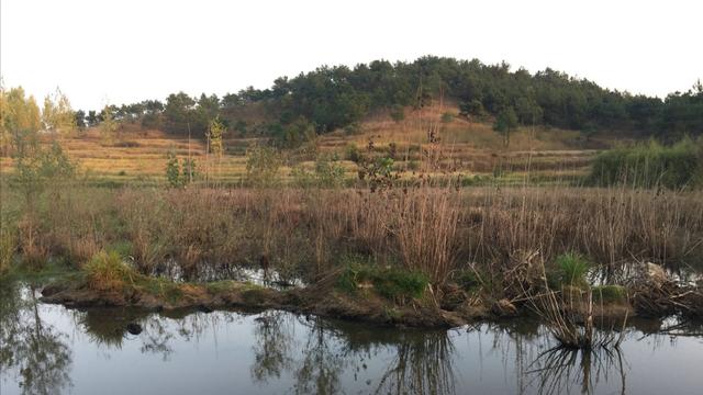 看风水宝地