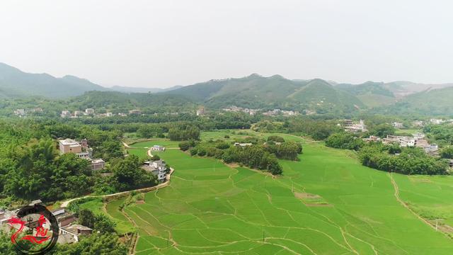 大风水家