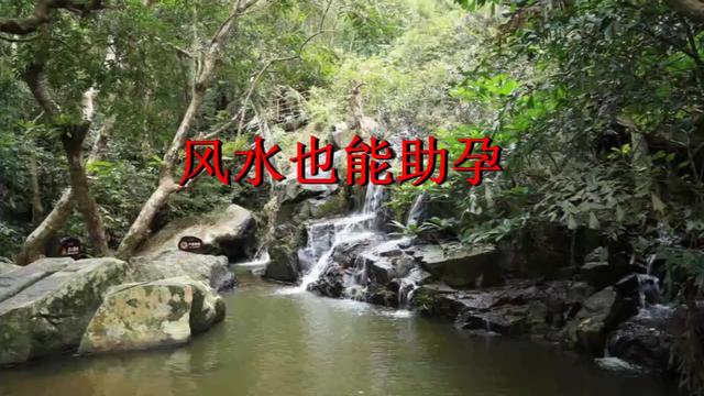 风水助孕