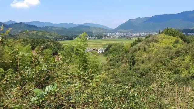 风水旗山