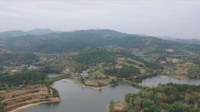 风水大师徐