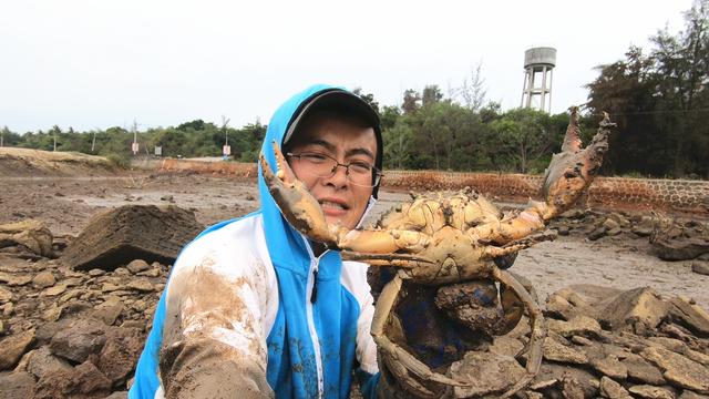 螃蟹的风水