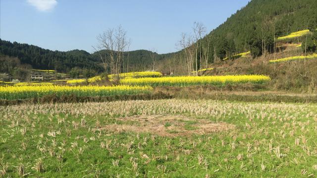 富贵风水