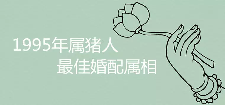 3、95年属猪什么时候遇到正缘:95年属猪哪年遇到另一半