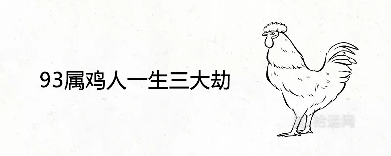 2、93年属鸡的28岁有一劫:93年属鸡过了27岁越来越好