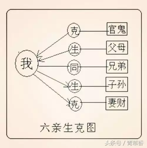 3、日支看配偶信息:根据这个八字排盘可以看出配偶的什么信息呢？