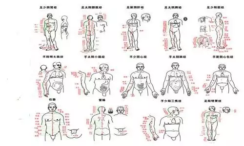 3、十二经络**记的方法3分钟:十二经络**记的方法是怎样的？