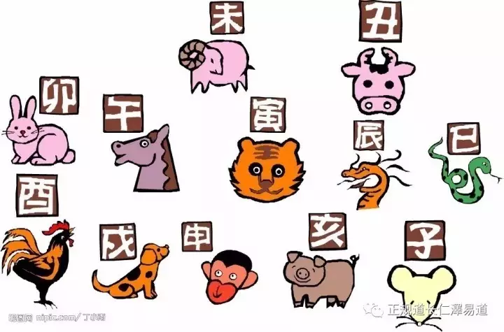 4、几月份的蛇与猪不相冲:几月份的蛇与猪不相冲