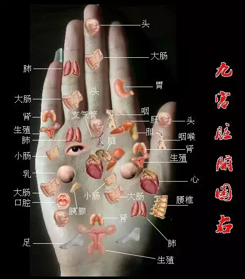 2、手上三个穴位一分钟治头疼:头痛按手上的哪个穴位