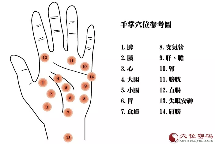 4、手上三个穴位一分钟治头疼:按哪个什么穴位么可以去缓解偏头痛？