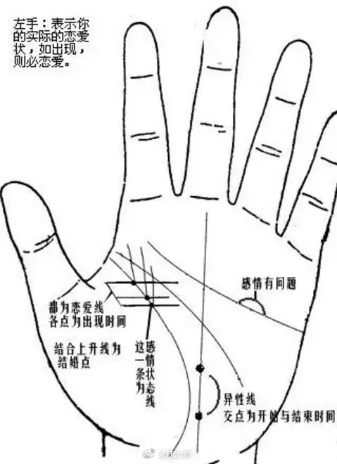 4、掌纹图解女右手详解:女生掌纹图解