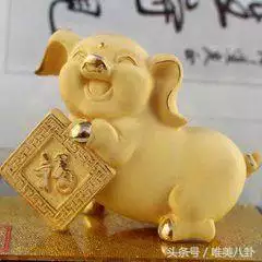 属猪的今年爱情怎么样，属猪的今年运势