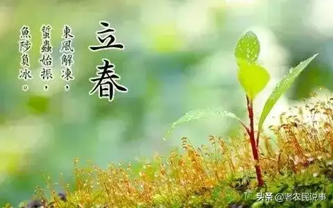 寡妇年是指什么生肖，宜嫁娶是指办酒还是领证