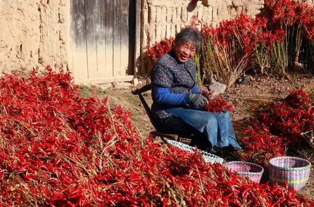 属羊的和属鼠的相克吗，鼠和羊在一起后果